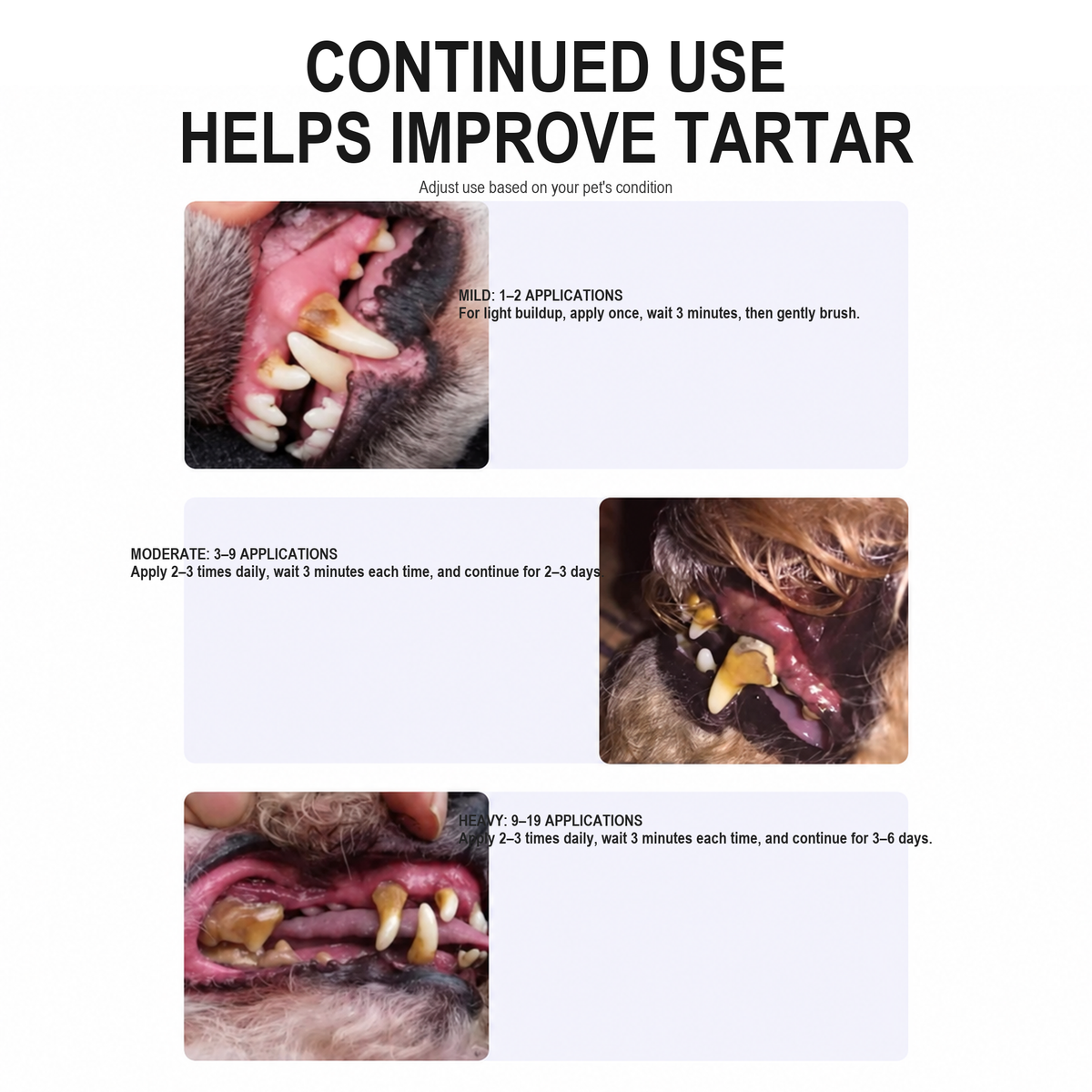 Pet dental gel routine guidance for different buildup levels