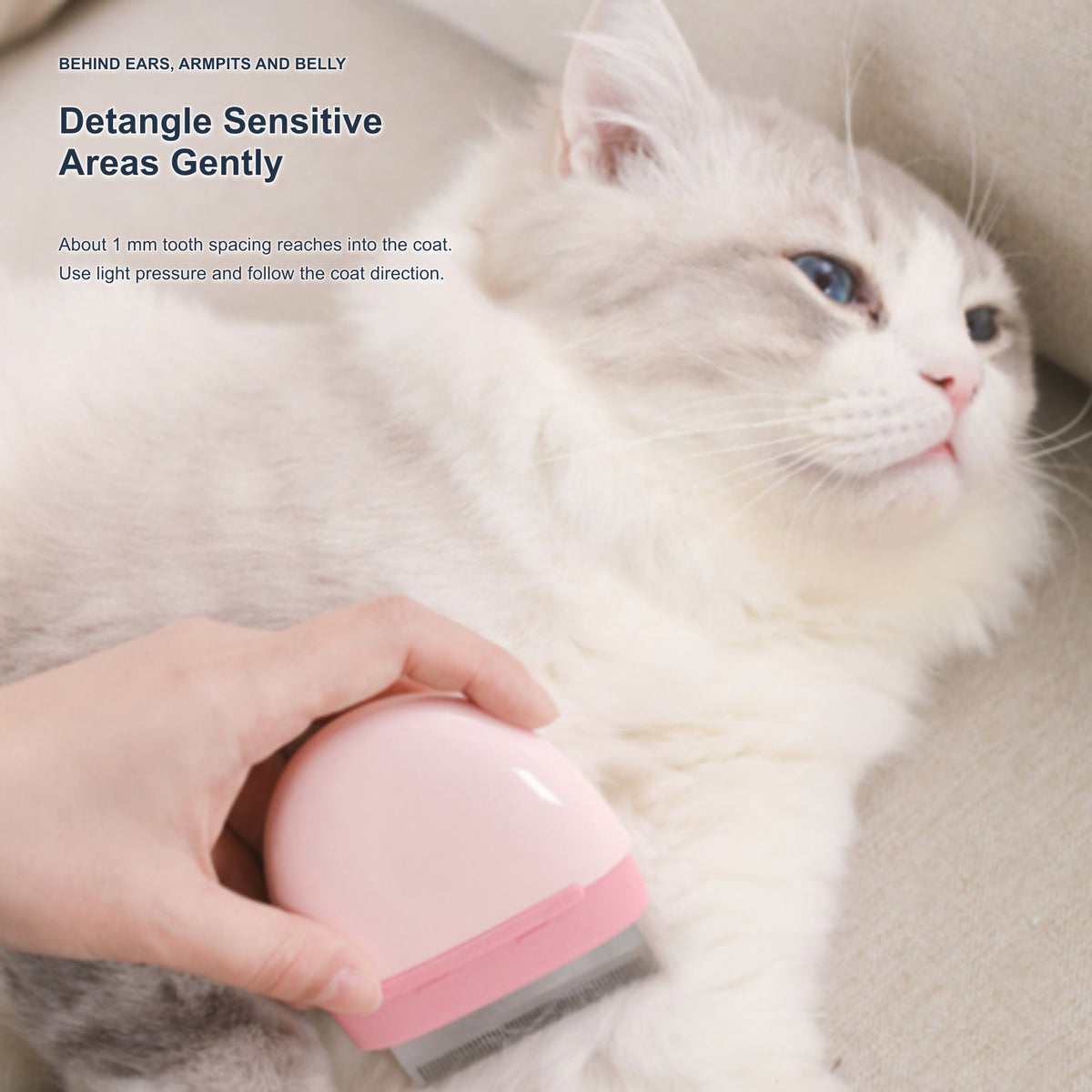 Aiwo pebble cat comb for gentle detangling behind ears, armpits and belly [Gallery: Shared]
