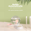 AIWO pink pet water fountain and feeder with source-faithful English translation layout [Lifestyle translation v4]