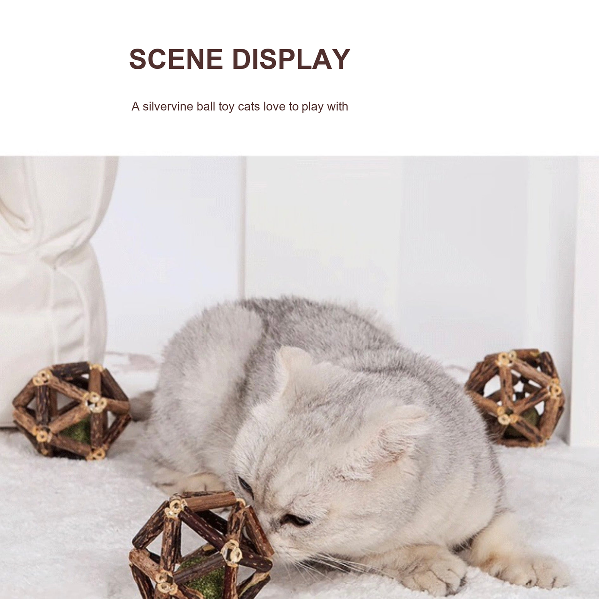 Cat playing with silvervine catnip ball toys in a scene