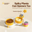 Anti-Spill Pet Bowls, Dual-Use Set