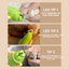 Cactus LED pet nail grinder tips for long nails and small pets