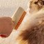 Steam Silicone Cat Grooming Brush cat grooming scene