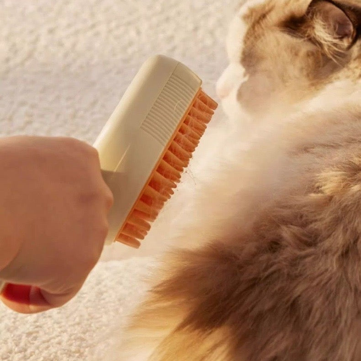 Steam Silicone Cat Grooming Brush cat grooming scene