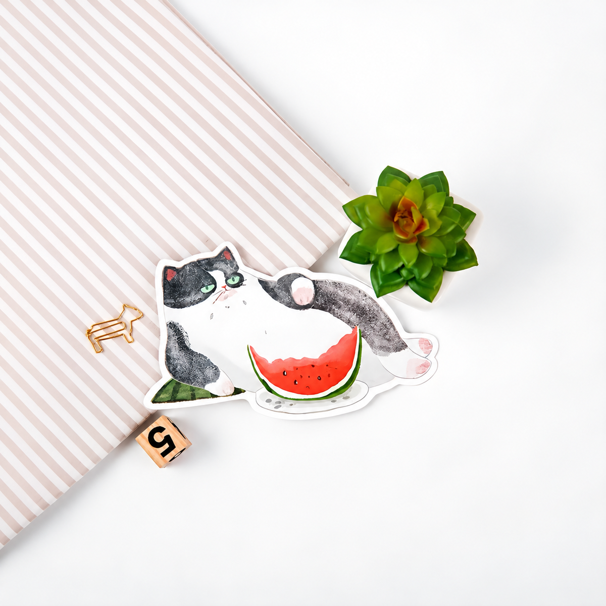 Cat Backyard postcard gallery scene - module 08 square expanded
