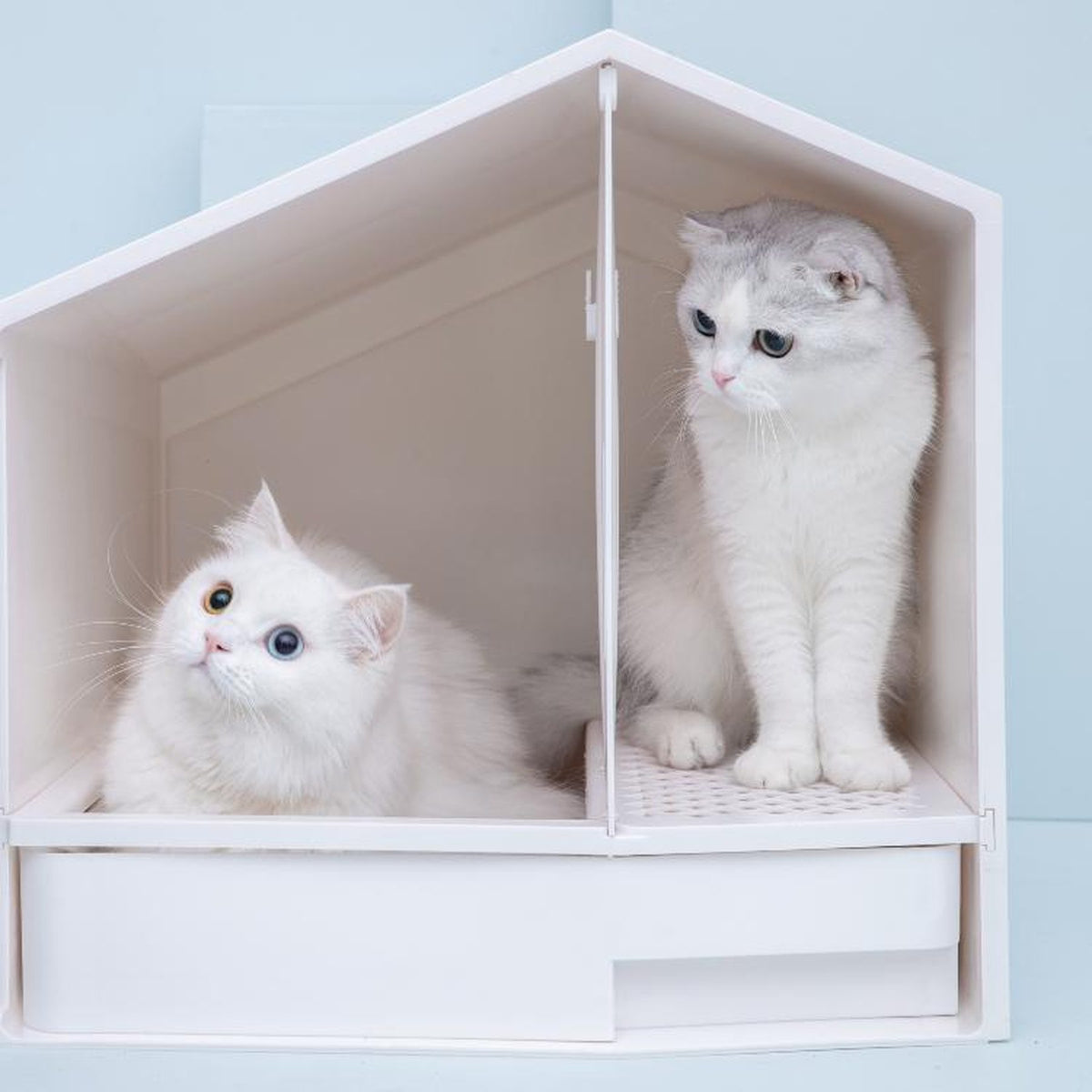 Furrytail Small House cat litter box, image 8, product detail or lifestyle view [Gallery: Shared]