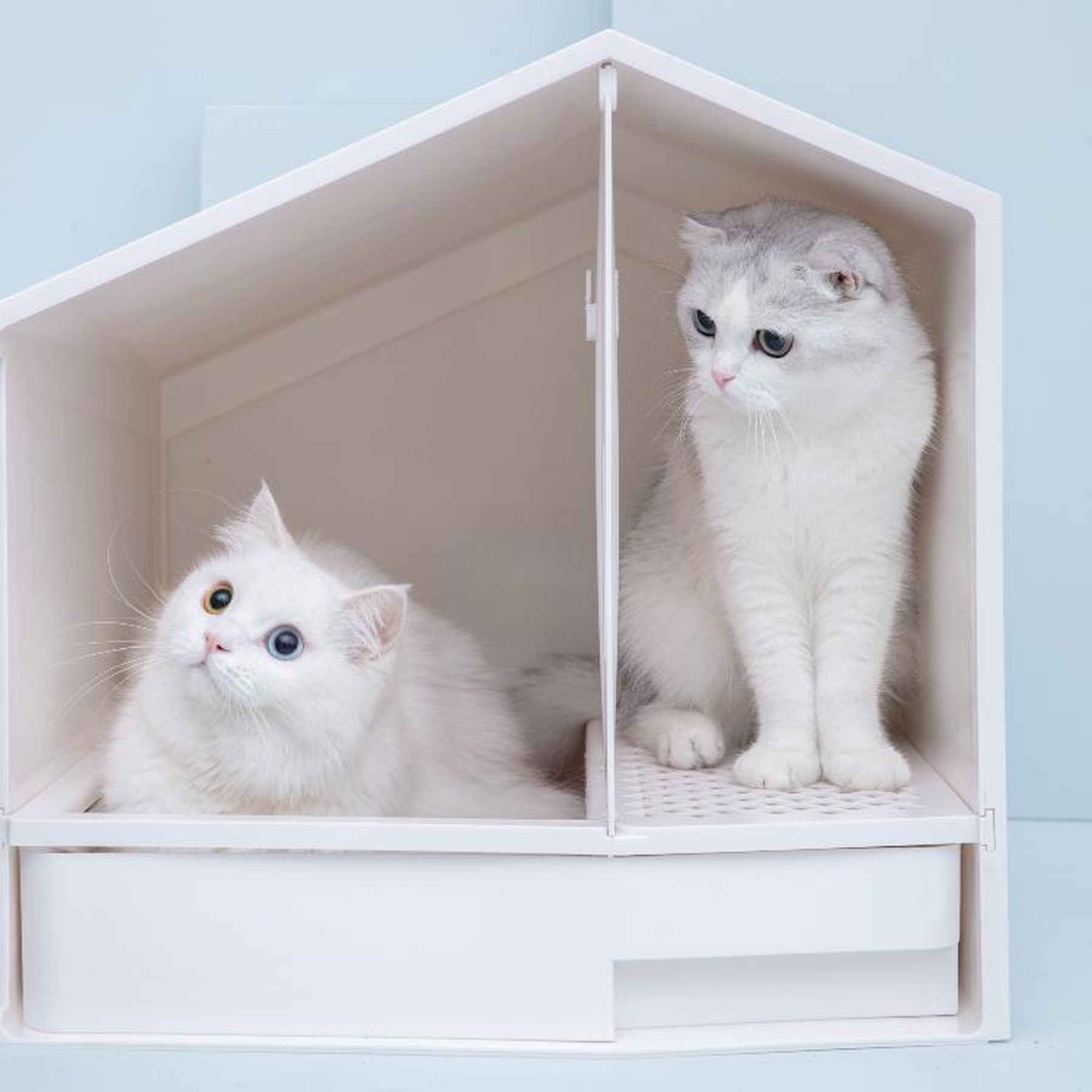 Furrytail Small House cat litter box, image 8, product detail or lifestyle view [Gallery: Shared]