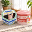 Misspet Ice-cream Box Cat Scratcher - blue and pink boxes with cat on a sunny rug