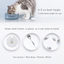 FURRYTAIL BOBO Cat Bowl | Colors and storage | English square panel 09