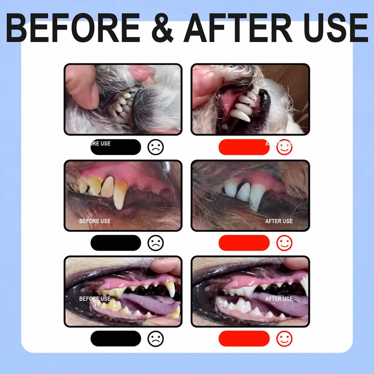 Pet dental gel before and after oral-care comparison