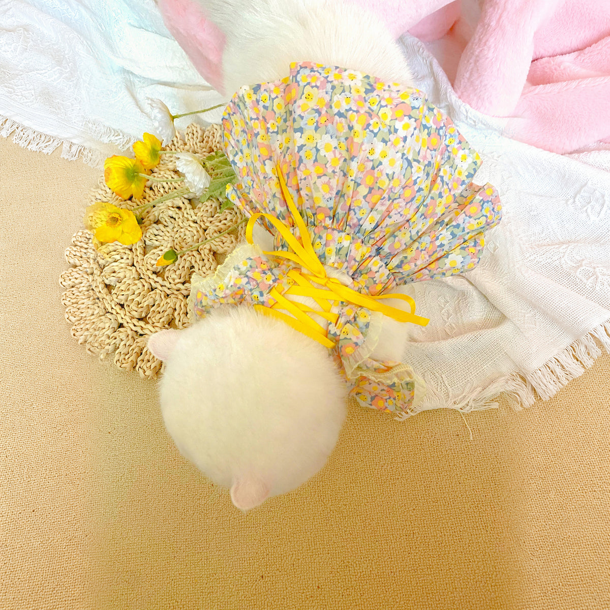 Effective-expanded lifestyle image 9 for Monin & B1GGERFISH floral pet dress