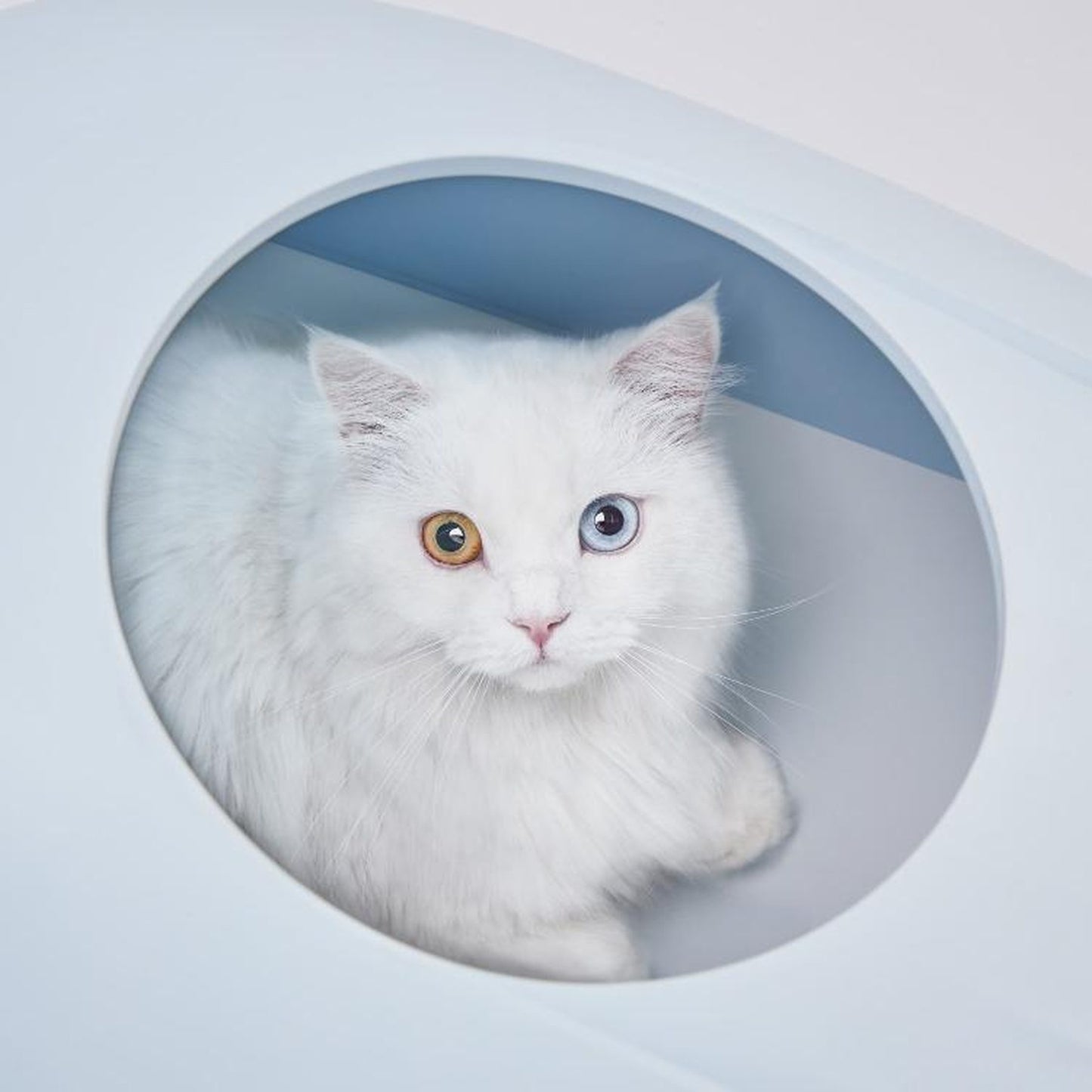 Furrytail Whale-Shaped cat litter box, image 9, product detail or lifestyle view [Gallery: Shared]