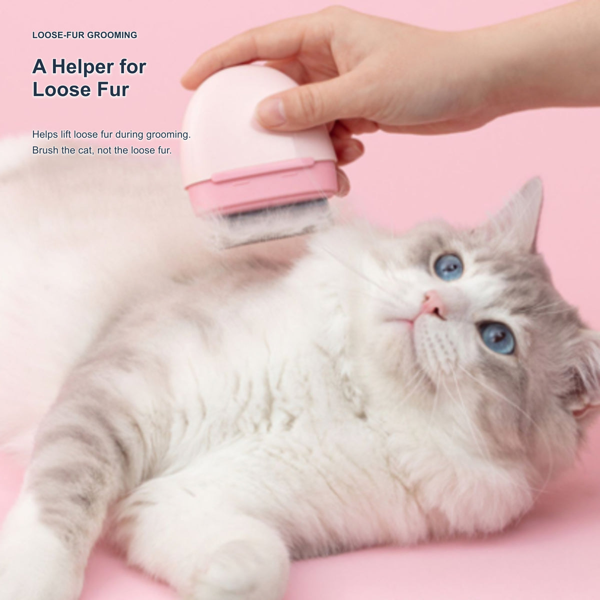 Aiwo pebble cat grooming comb helping lift loose fur [Gallery: Shared]