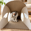Revised | Rainbow Cat Scratcher Cardboard 2-in-1 Multifunctional Cat Scratcher Lounge Bed Cat Scratching Pad for Indoor Cats as Furniture Protector Cat Training Toy gallery image 09 | square composition