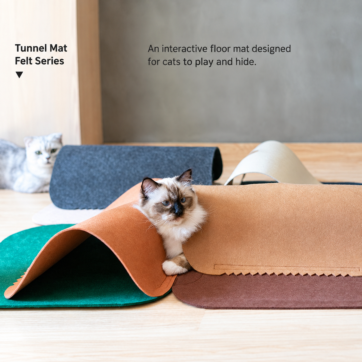 REVISED 20260926 v10 | PIDAN Modular Felt Cat Tunnel Mat | Source-faithful original layout | detail 09