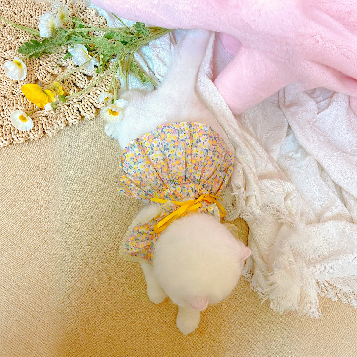 Effective-expanded lifestyle image 10 for Monin & B1GGERFISH floral pet dress