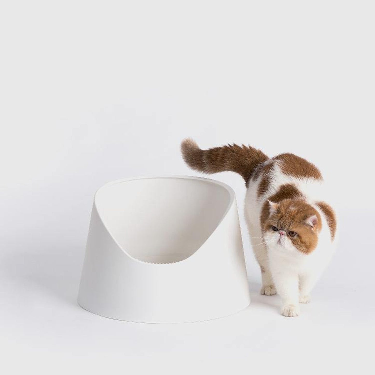PIDAN Snow Mountain open cat litter box, image 10, product detail or lifestyle view [Gallery: Shared]