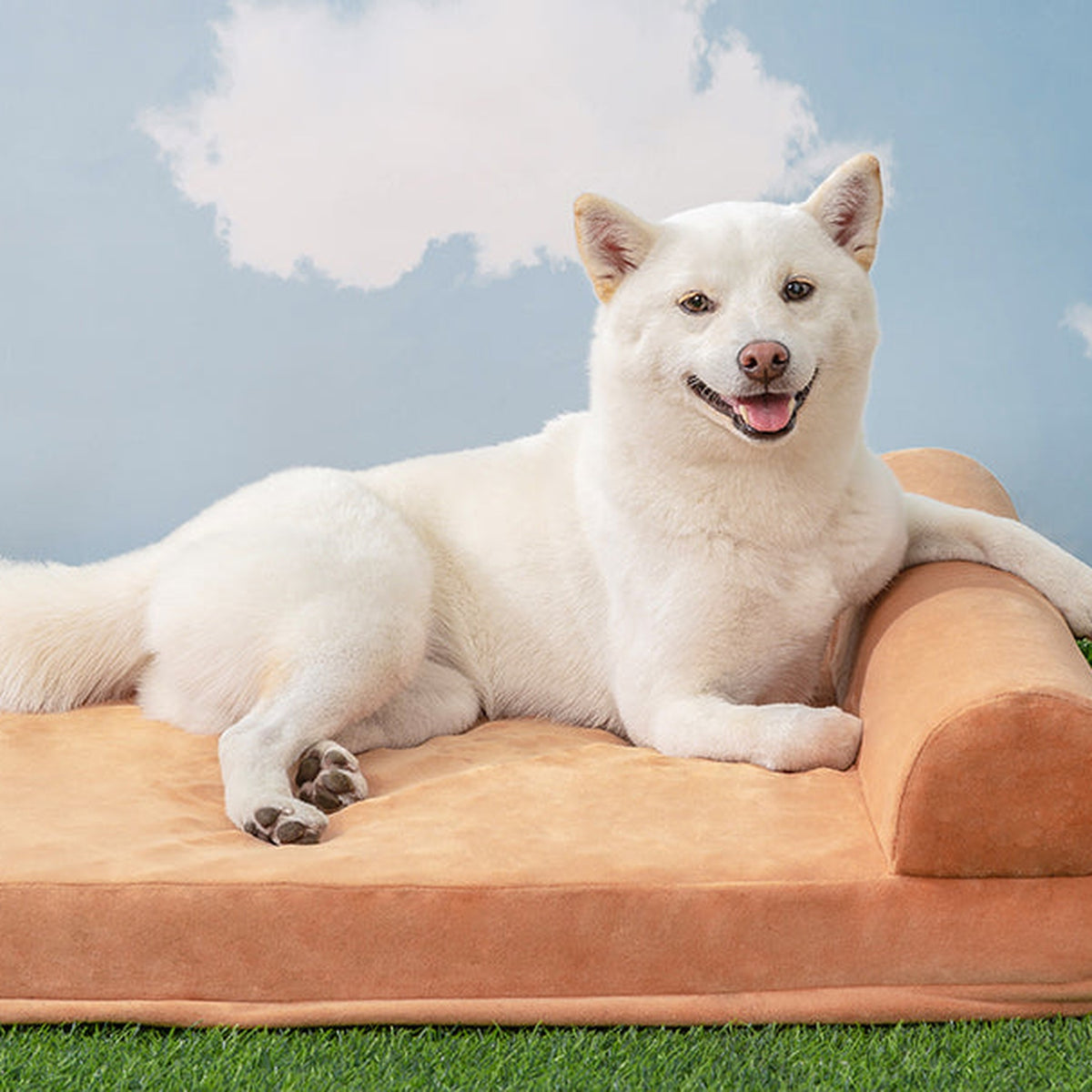 Navy Style Military-Inspired Pet Mattress detail image 23, square product feature view