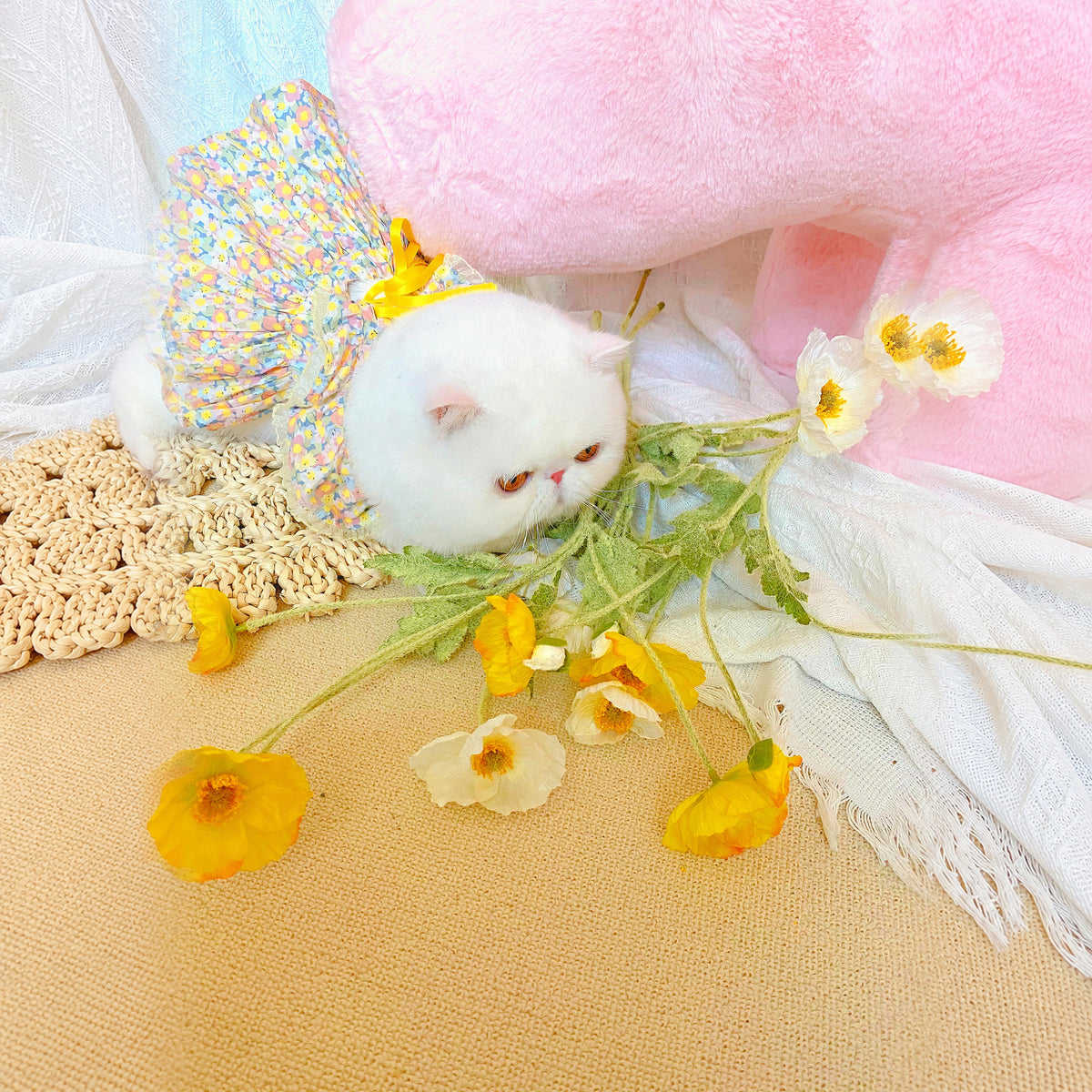 Effective-expanded lifestyle image 12 for Monin & B1GGERFISH floral pet dress