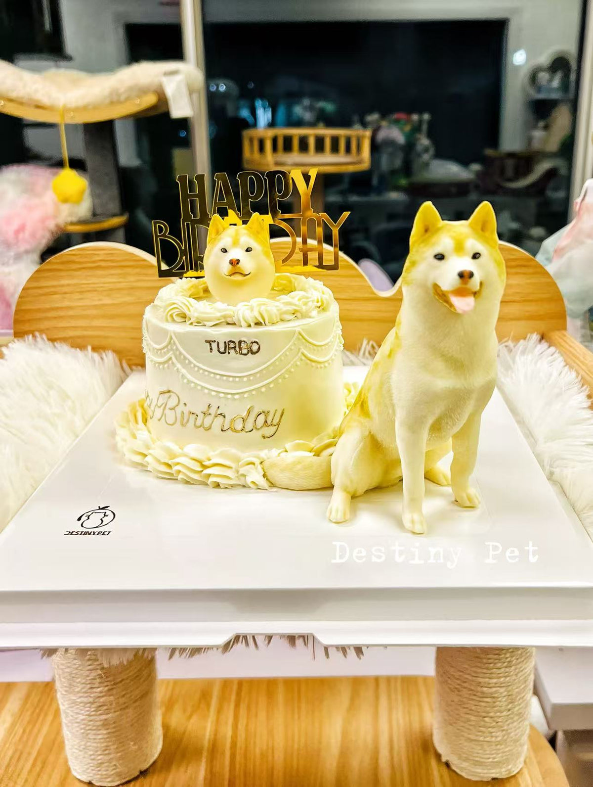 Pet Cake，Pet Birthday Cake, Pet Cake，Dog&Cat Birthday Cake