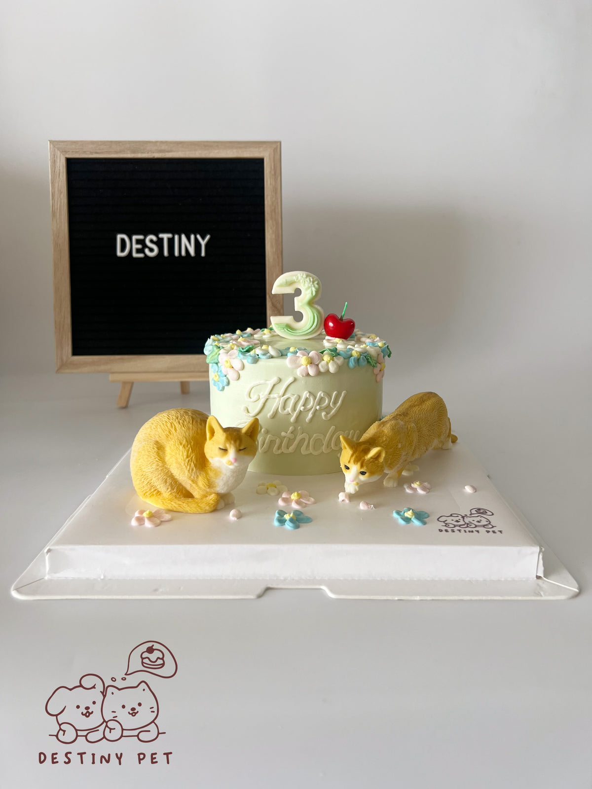 Pet Cake，Pet Birthday Cake, Pet Cake，Dog&Cat Birthday Cake