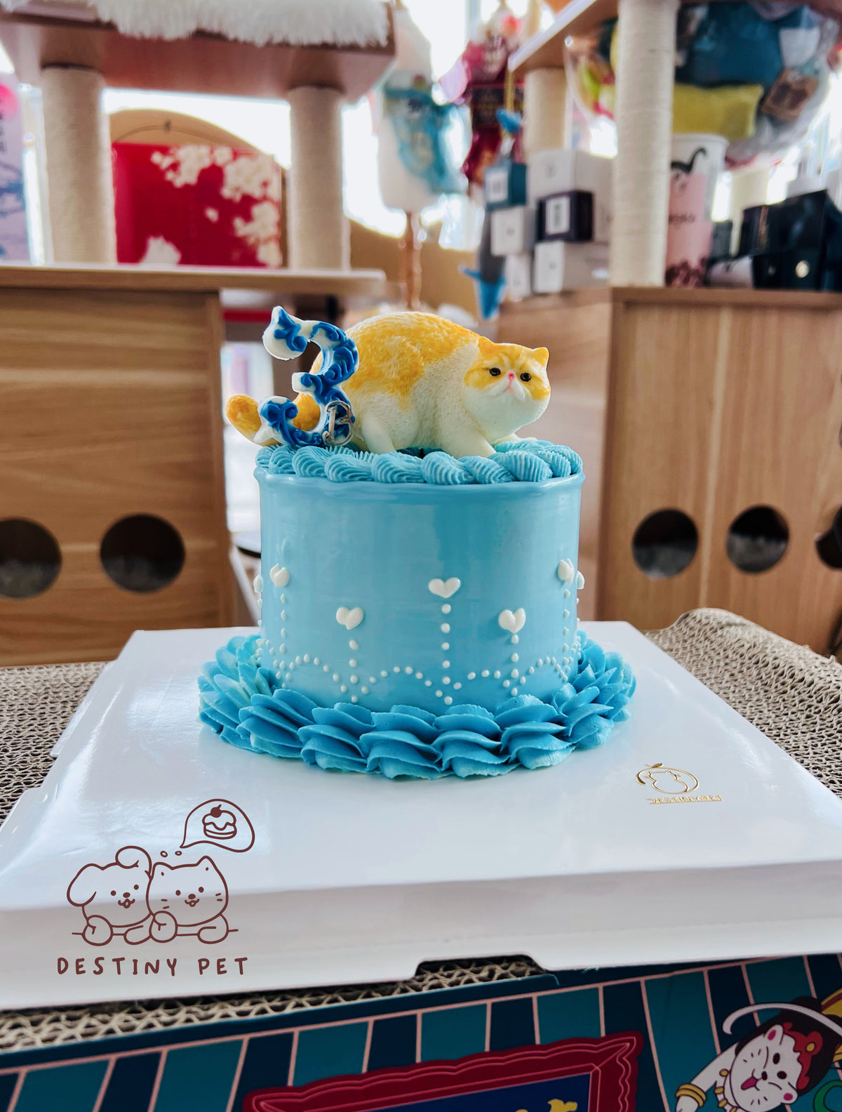 Pet Cake，Pet Birthday Cake, Pet Cake，Dog&Cat Birthday Cake
