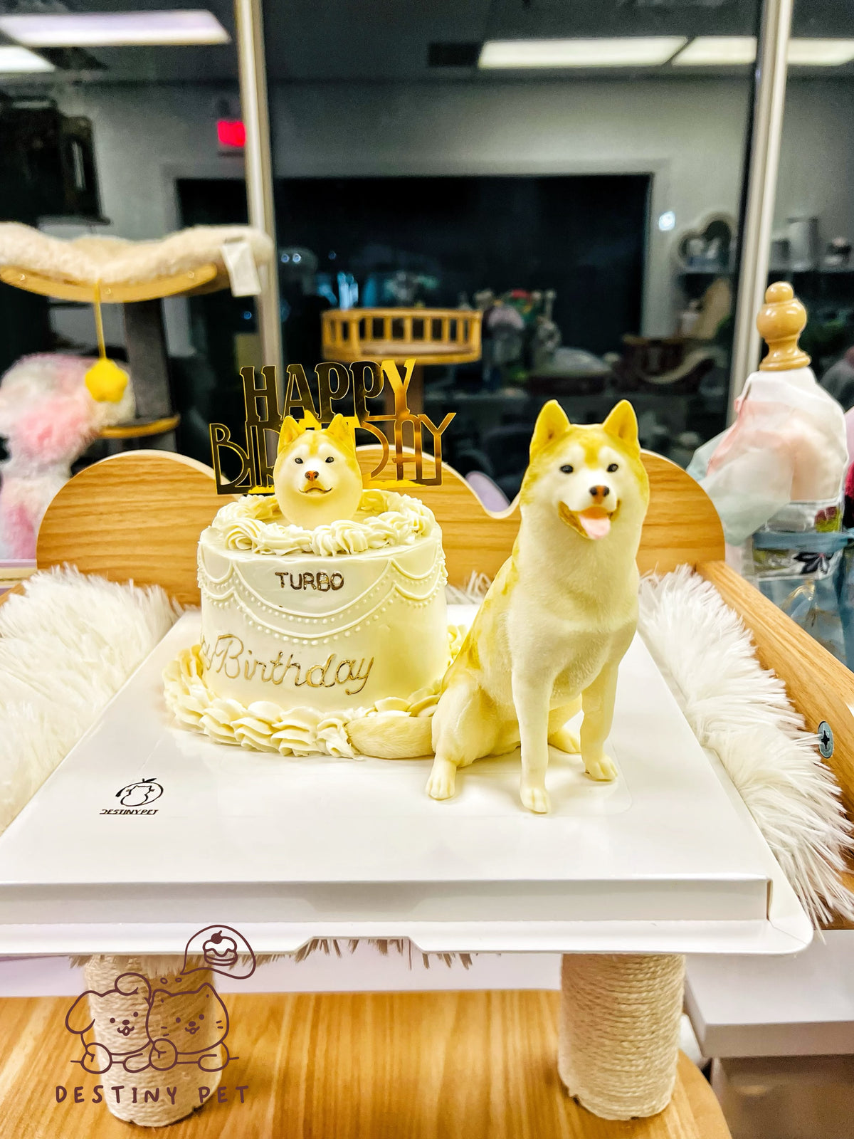 Pet Cake，Pet Birthday Cake, Pet Cake，Dog&Cat Birthday Cake