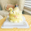 Pet Cake，Pet Birthday Cake, Pet Cake，Dog&Cat Birthday Cake