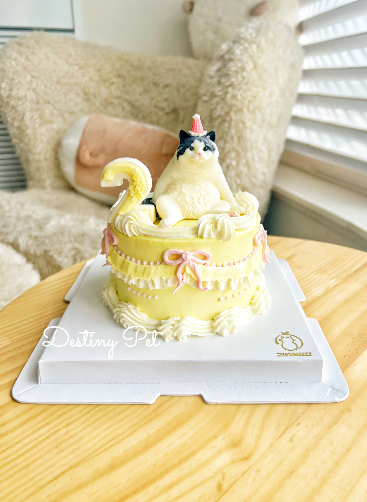 Pet Cake，Pet Birthday Cake, Pet Cake，Dog&Cat Birthday Cake