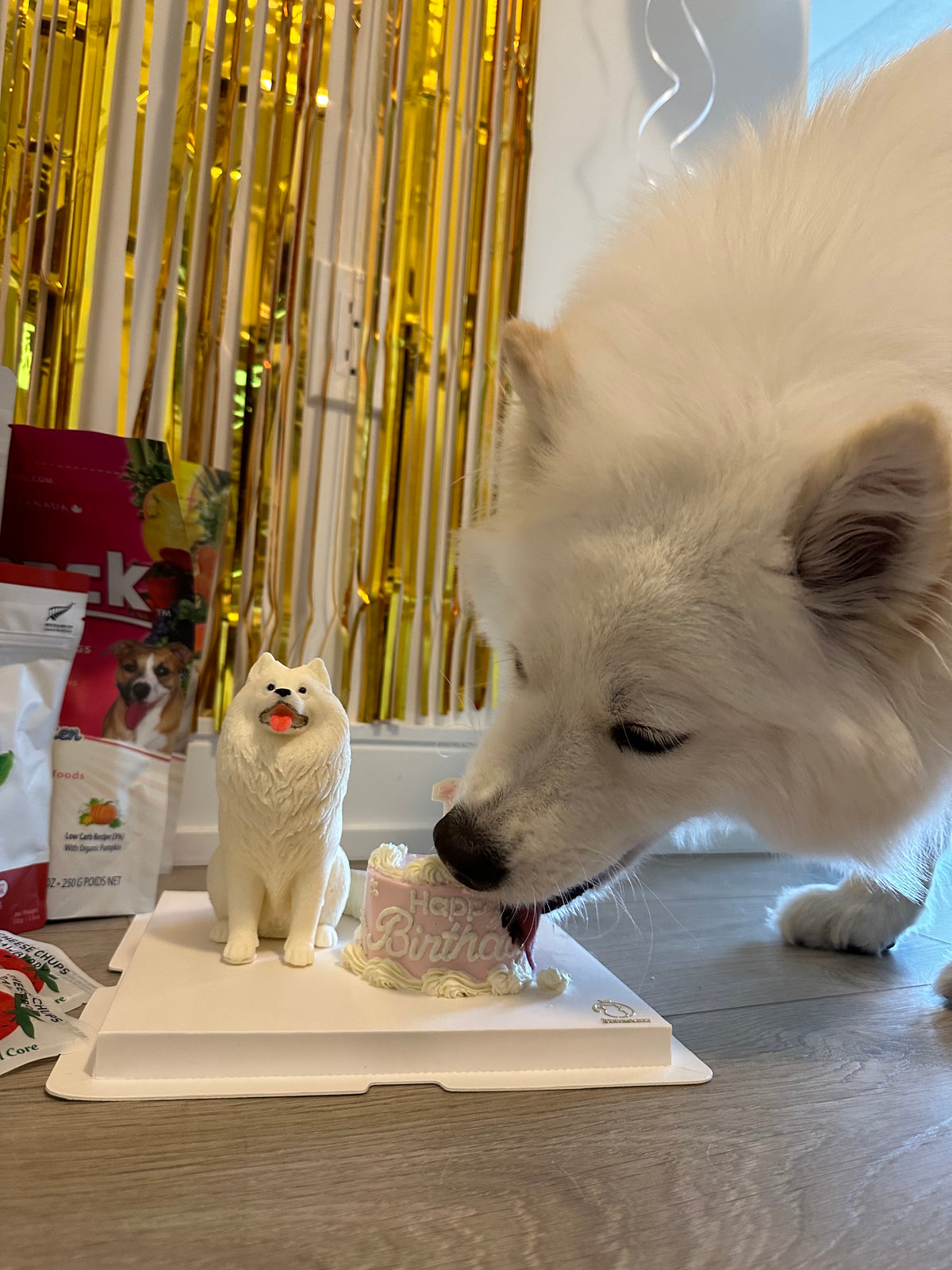 Mini Pet Cake，Pet Birthday Cake, Pet Cake，Dog&Cat Birthday Cake