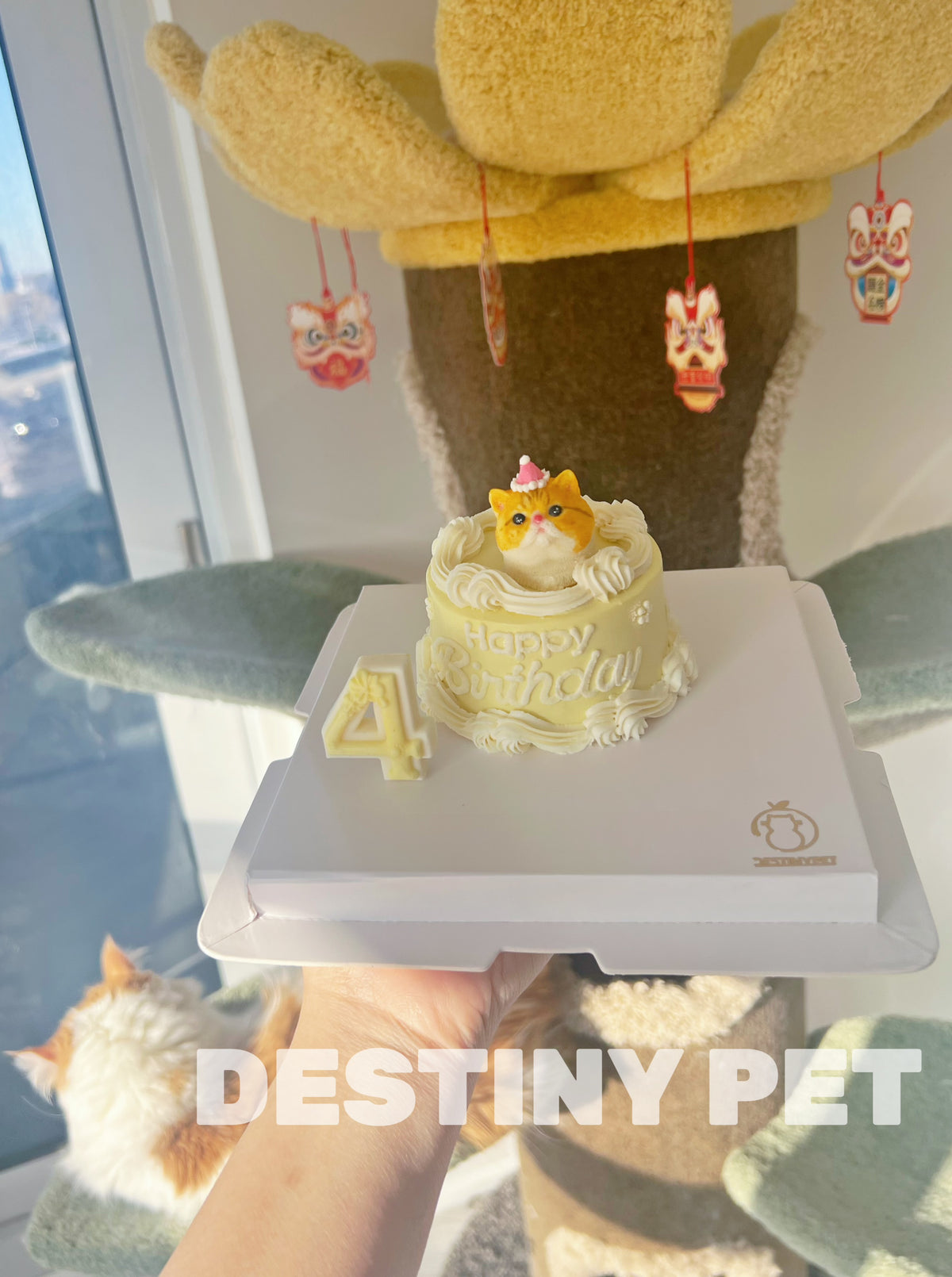 Mini Pet Cake，Pet Birthday Cake, Pet Cake，Dog&Cat Birthday Cake