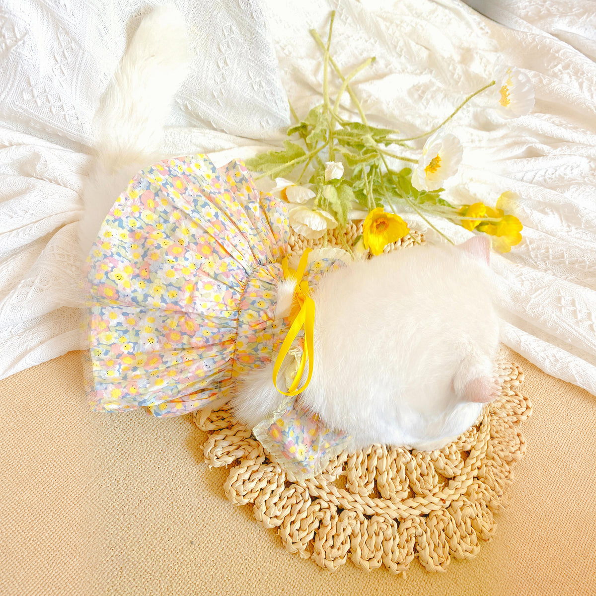 Effective-expanded lifestyle image 13 for Monin & B1GGERFISH floral pet dress