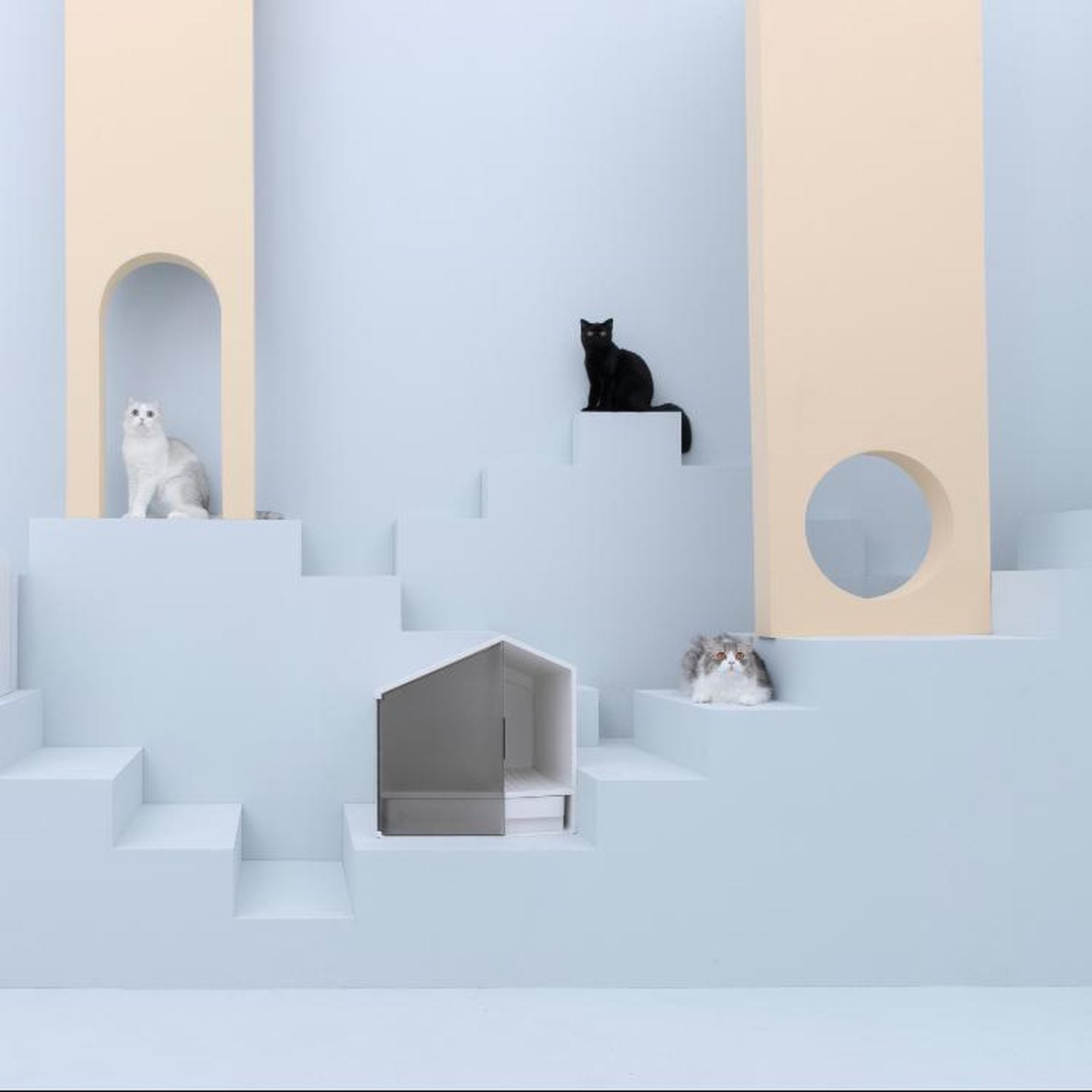 Furrytail Small House cat litter box, image 13, product detail or lifestyle view [Gallery: Shared]