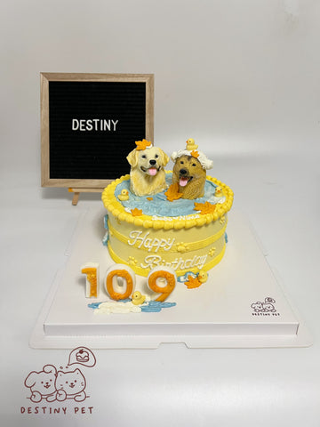 Bath Time Pet Cake，Pet Birthday Cake, Pet Cake，Dog&Cat Birthday Cake