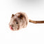 GiGwi Mouse sound-emitting plush cat toy