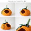 Original four-view orange pumpkin felt cat cave reference