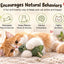 Cat playing with a catnip toy on a soft home surface