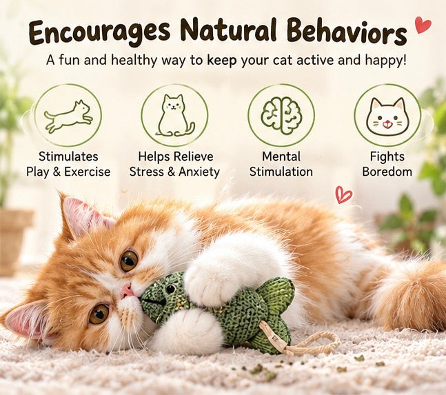 Cat playing with a catnip toy on a soft home surface