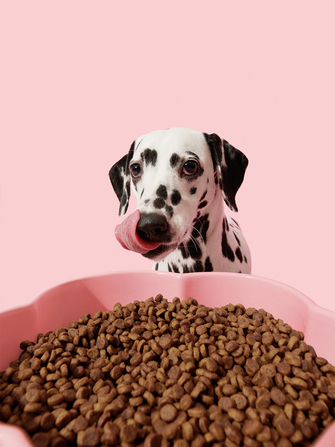 VETRESKA Ceramic Raised Pet Bowl Elevated Pet Food Water Bowl Stand Pink Pet Feeding Dish