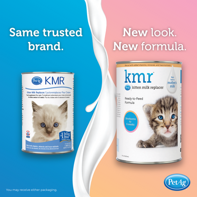 PetAg KMR® Kitten Milk Replacer Liquid