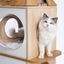 PAWZ Road Cat Tree Rocket, Wood Cat Tower Multilevel for Indoor Cats, Cat Furniture [54"=138 CM] with 3 Condos, Dangling Balls, Cosy Perch