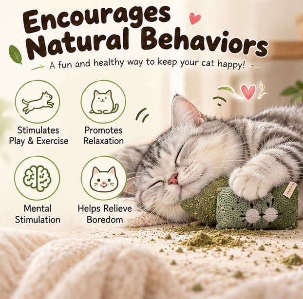 Cat resting with a catnip toy in a soft home setting