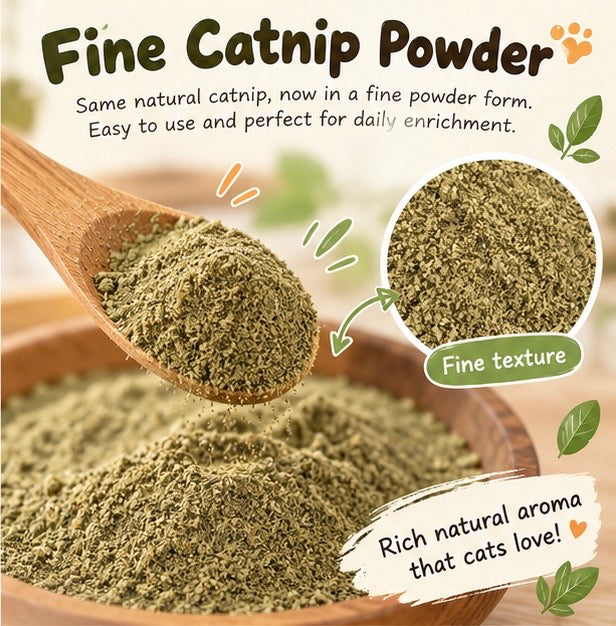 Fine catnip powder texture in a wooden dish