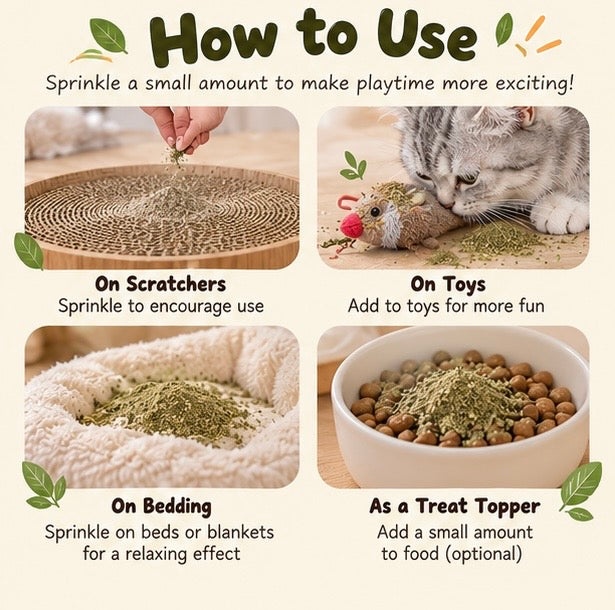 Catnip use examples for scratchers toys and bedding