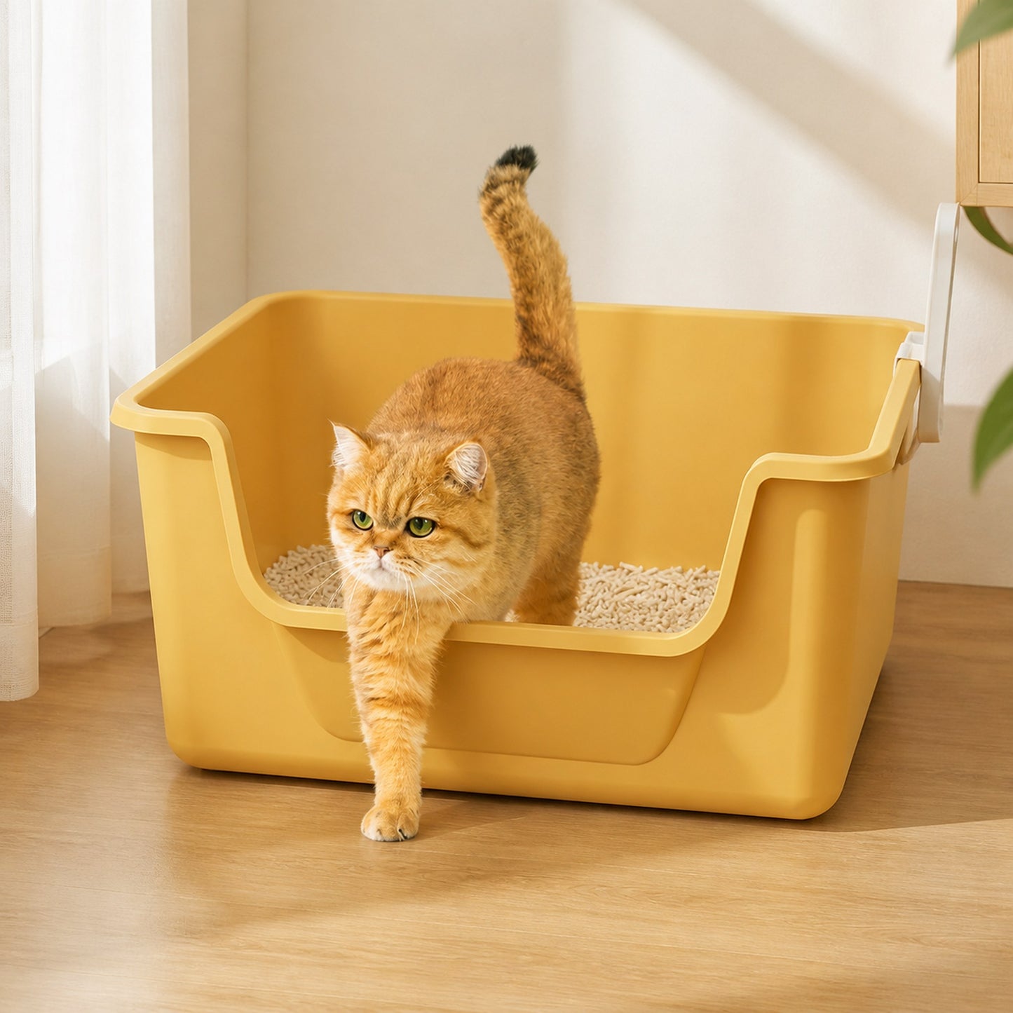Cream yellow 50 cm cat litter box with a cat stepping out, showing raised sides and a low front entry [Gallery: Cream Yellow]