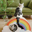 Rainbow Cat Scratcher Cardboard 2-in-1 Multifunctional Cat Scratcher Lounge Bed Cat Scratching Pad for Indoor Cats as Furniture Protector Cat Training Toy