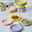 Colorful Ceramic Pet Plates