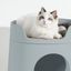 MAYITWILL CAT CASTLE SEMI CLOSED LITTER BOX - MORANDI GREEN