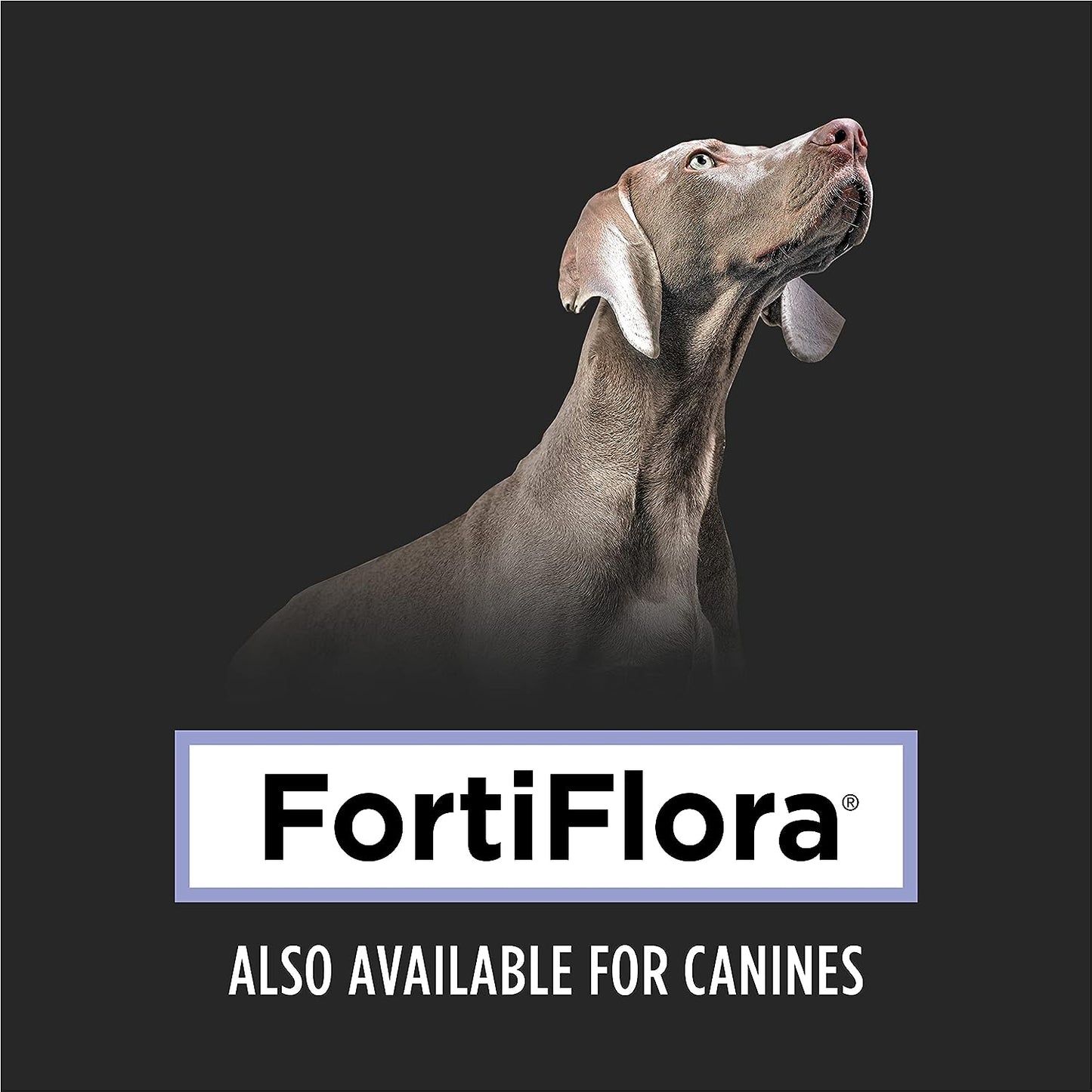 PRO PLAN VETERINARY SUPPLEMENTS® SUPPLEMENTS FortiFlora® Powdered Probiotic Supplement for Cats