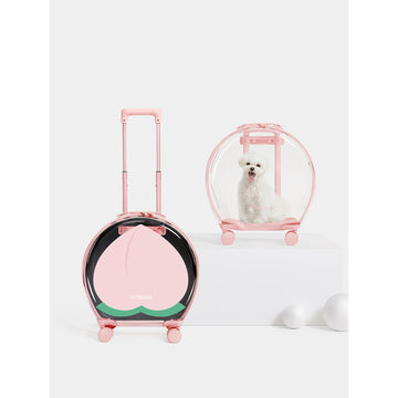 Vetreska Bubble Pet Carrier – Pink lifestyle scene with front cover and transparent view [Gallery: Shared]